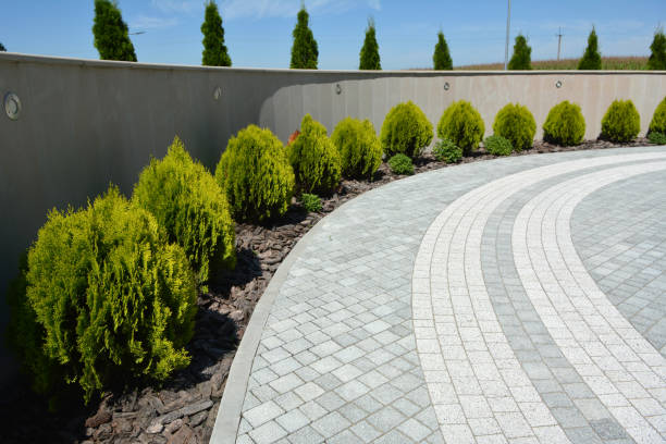 Best Driveway Resurfacing Pavers  in Nuevo, CA